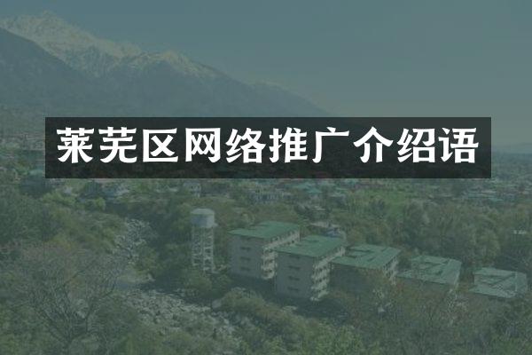 莱芜区网络推广介绍语