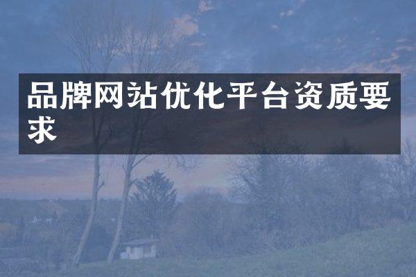 品牌网站优化平台资质要求