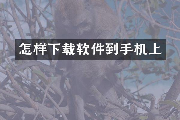 怎样下载软件到手机上