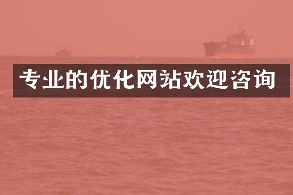 专业的优化网站欢迎咨询