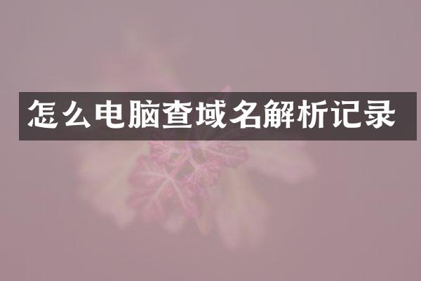 怎么电脑查域名解析记录