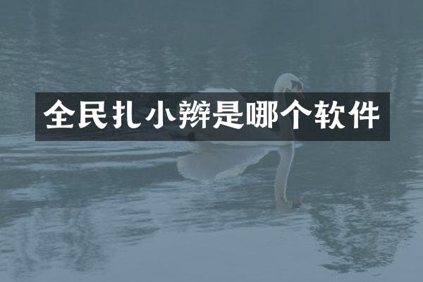 全民扎小辫是哪个软件