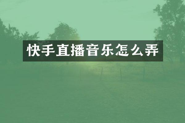 快手直播音乐怎么弄