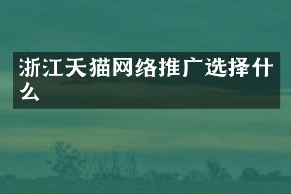 浙江天猫网络推广选择什么
