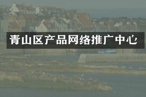 青山区产品网络推广中心