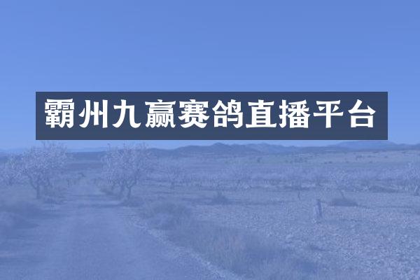 霸州九赢赛鸽直播平台