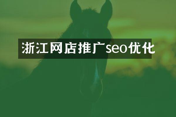 浙江网店推广seo优化