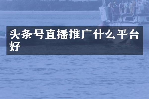 头条号直播推广什么平台好