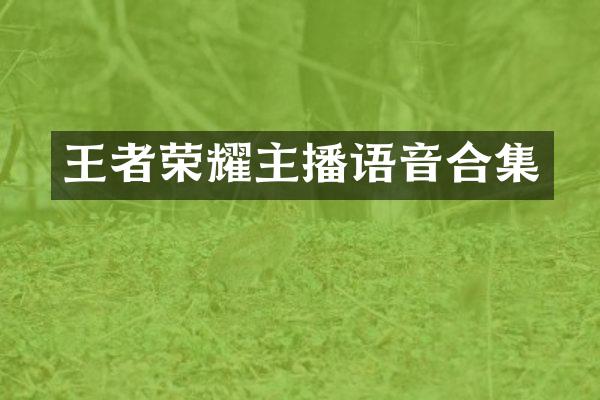 王者荣耀主播语音合集