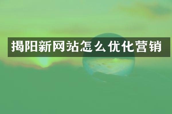 揭阳新网站怎么优化营销