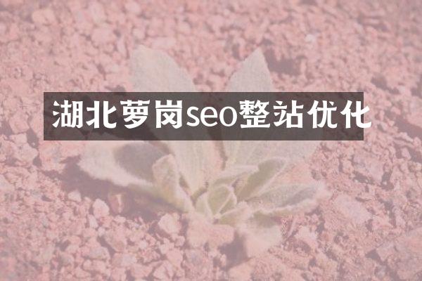 湖北萝岗seo整站优化