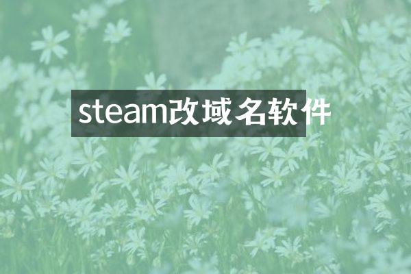 steam改域名软件