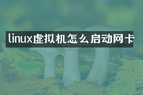 linux虚拟机怎么启动网卡