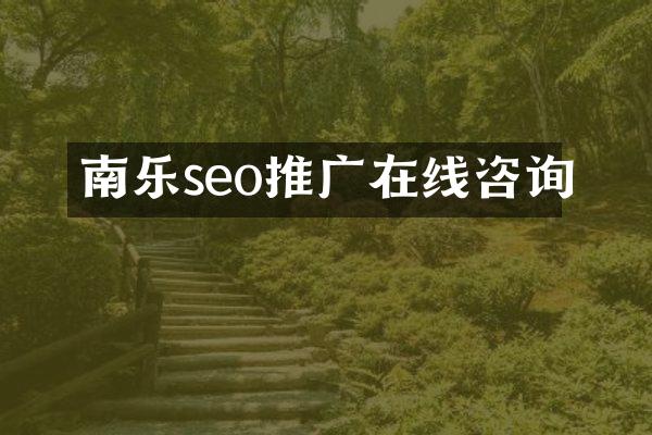 南乐seo推广在线咨询