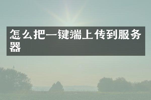 怎么把一键端上传到服务器