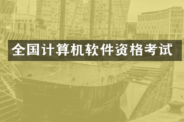 全国计算机软件资格考试