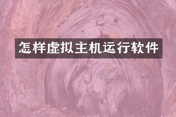 怎样虚拟主机运行软件