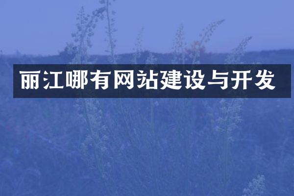 丽江哪有网站建设与开发