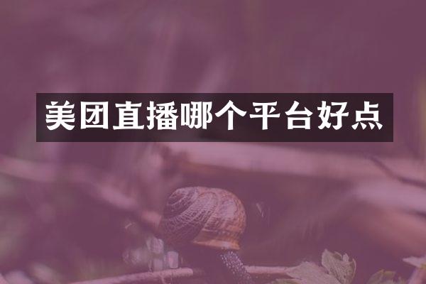 美团直播哪个平台好点