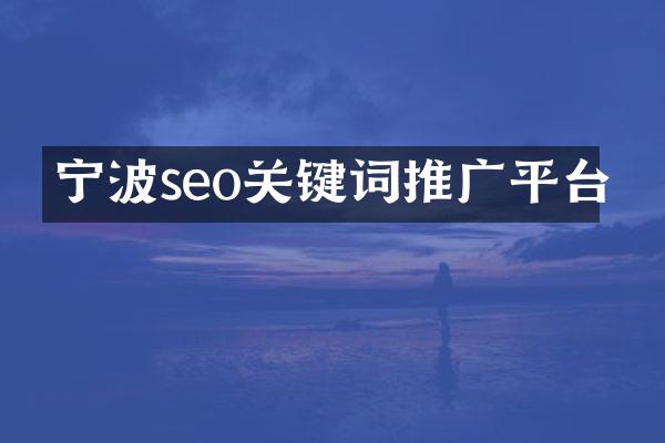 宁波seo关键词推广平台