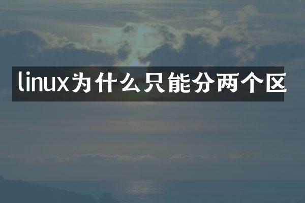 linux为什么只能分两个区