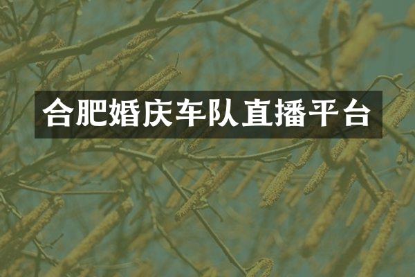 合肥婚庆车队直播平台