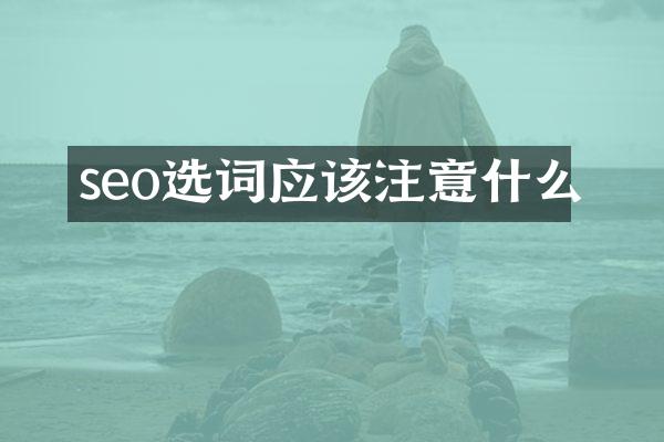 seo选词应该注意什么