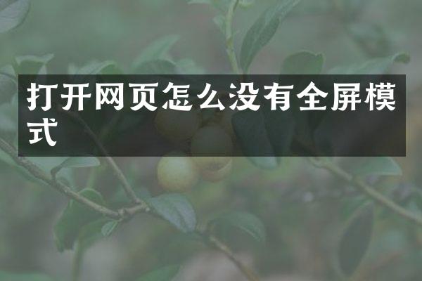 打开网页怎么没有全屏模式