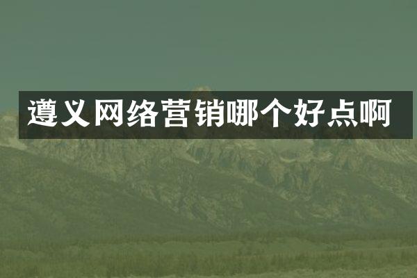 遵义网络营销哪个好点啊