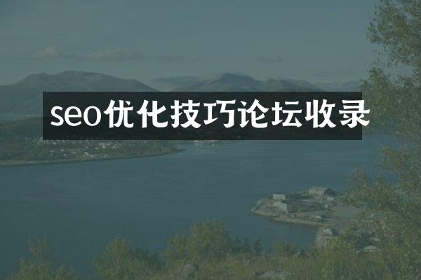 seo优化技巧论坛收录