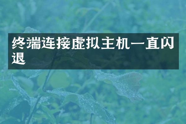 终端连接虚拟主机一直闪退