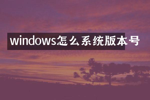 windows怎么系统版本号
