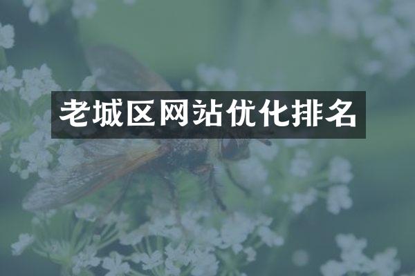 老城区网站优化排名