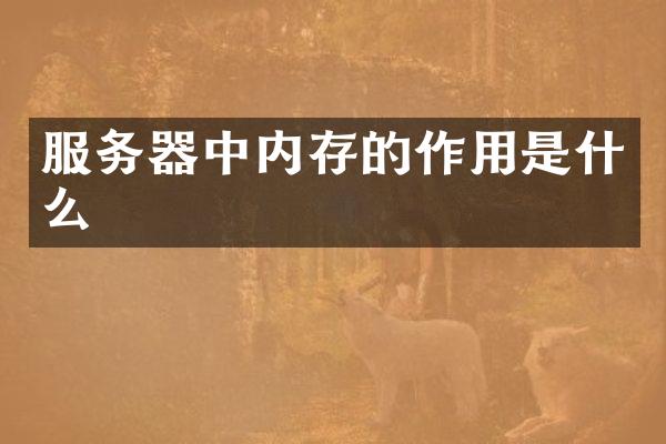 服务器中内存的作用是什么