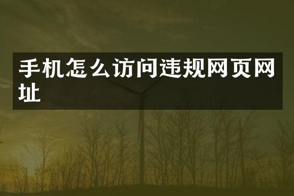 手机怎么访问违规网页网址