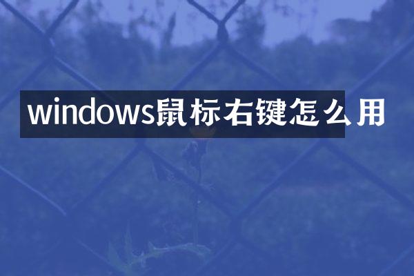 windows鼠标右键怎么用