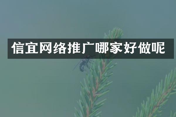 信宜网络推广哪家好做呢