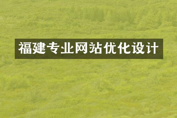 福建专业网站优化设计