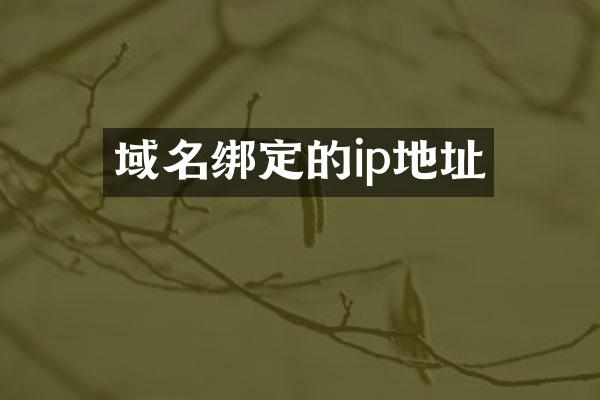 域名绑定的ip地址
