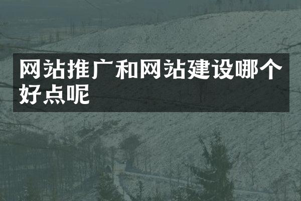 网站推广和网站建设哪个好点呢