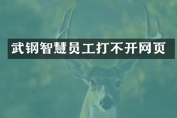 武钢智慧员工打不开网页