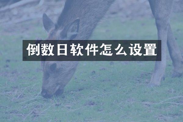 倒数日软件怎么设置