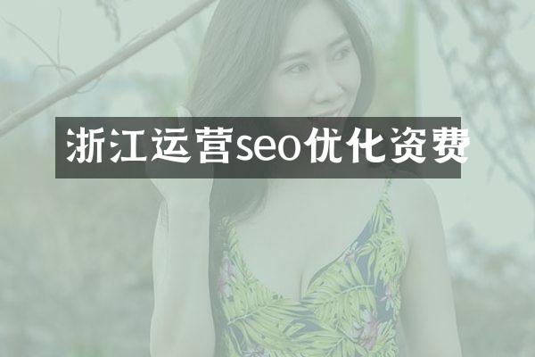 浙江运营seo优化资费