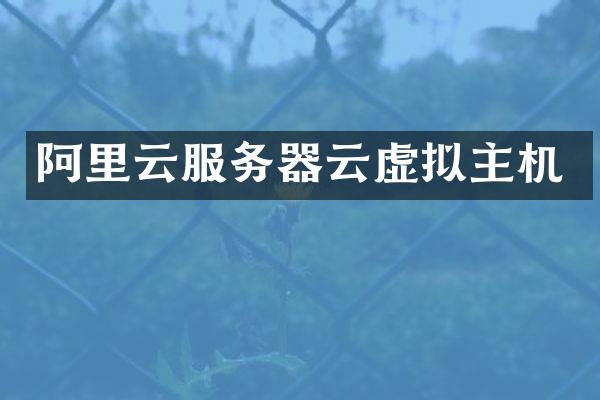 阿里云服务器云虚拟主机