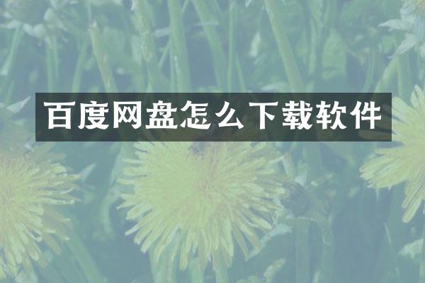 百度网盘怎么下载软件