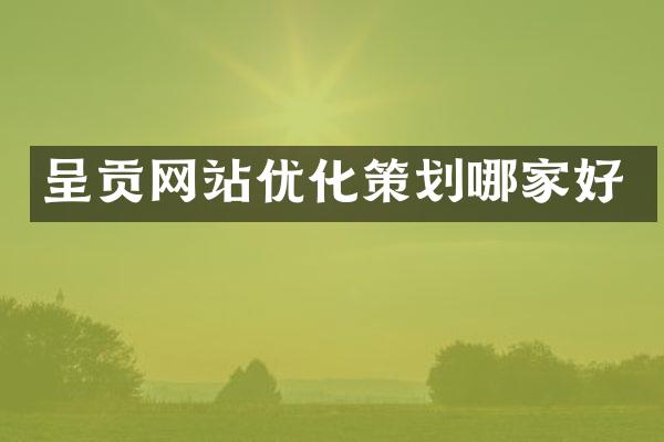 呈贡网站优化策划哪家好
