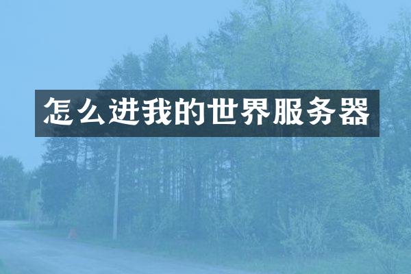 怎么进我的世界服务器