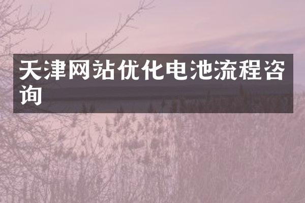 天津网站优化电池流程咨询