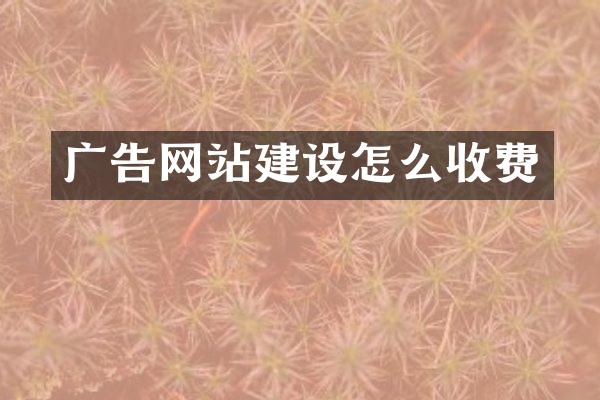 广告网站建设怎么收费