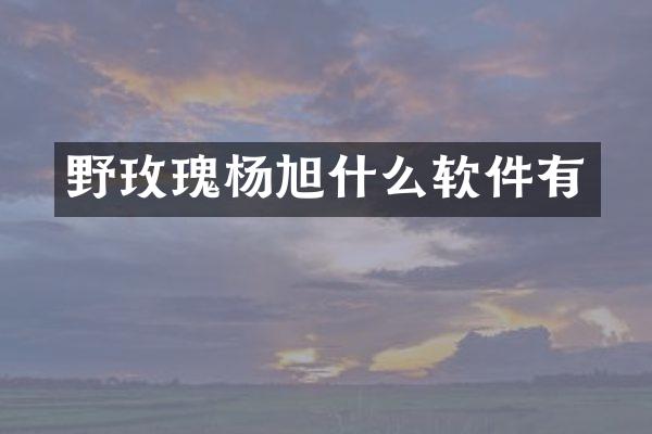 野玫瑰杨旭什么软件有